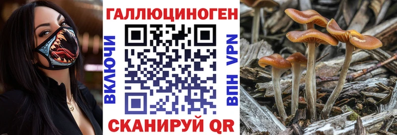 Псилоцибиновые грибы мухоморы  нарко площадка формула  Комсомольск 