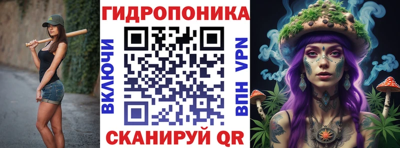 Конопля гибрид  Комсомольск 